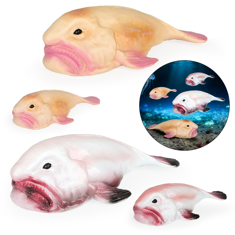 Kids Education In Australia - Oenux Australia Ikan Laut Dalam Blobfish