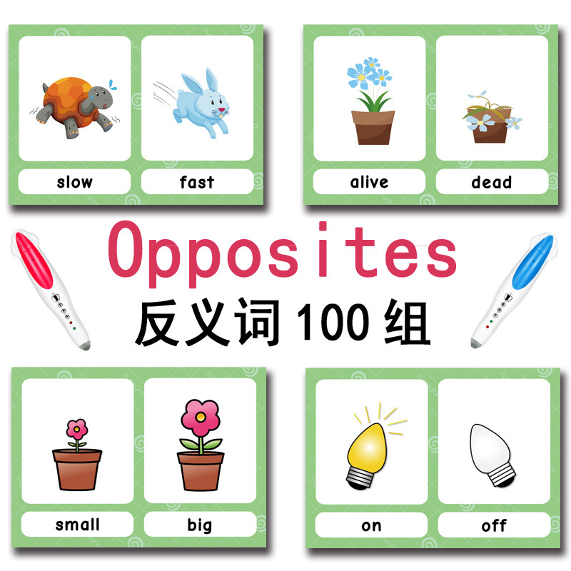 100 Kartu Flashcard Kata Bahas - Free Educational Games For Kids ulasan dan harga